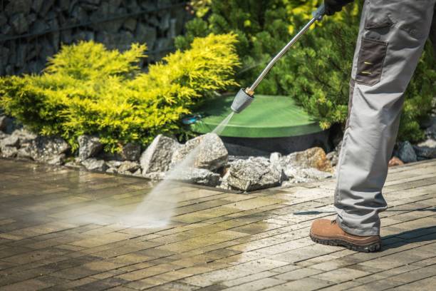 Best Winterizing Services  in Donalsonville, GA