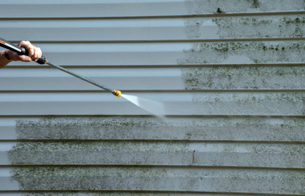 Best Fence Cleaning  in Donalsonville, GA